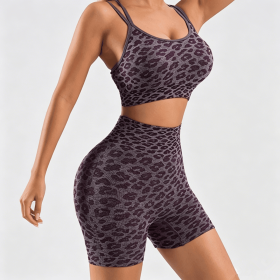 Women's Leopard Print Workout Sets 2 Piece Outfits Crop Tank Tops and Shorts Sports Yoga Gym Tracksuit (Color: Wine Red, size: L)